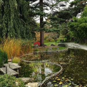 #albertkahn #japanese #garden #park #autumn #paris #boulogne #japonism